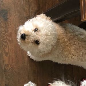 Meet your Posher, Suzanne